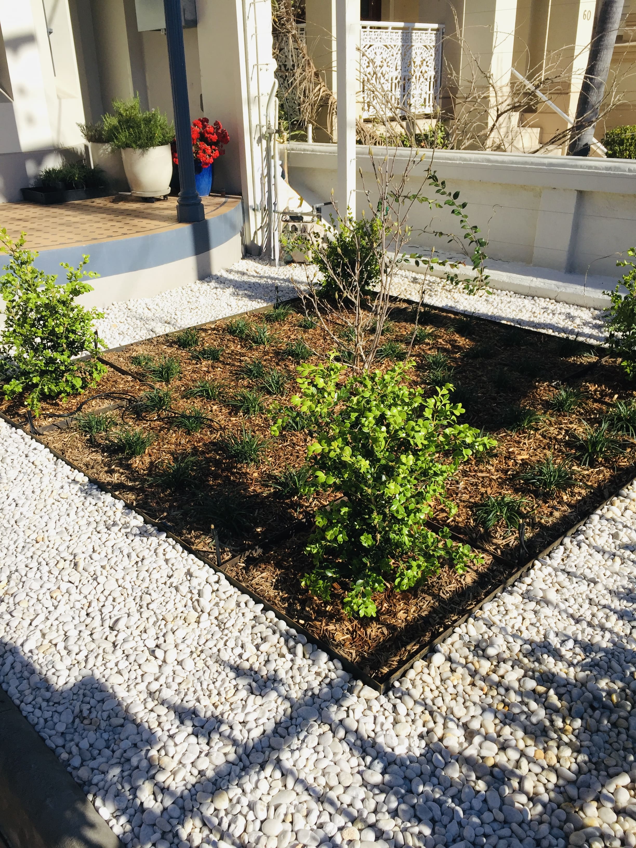 Inner City Formal Garden